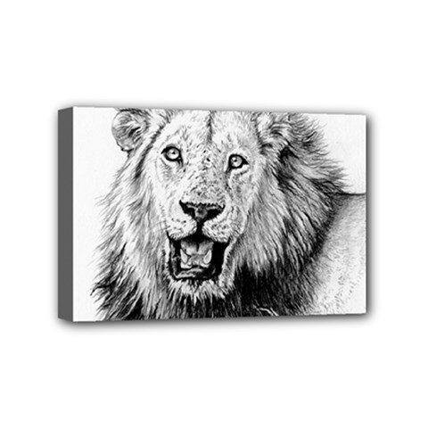 Lion Wildlife Art And Illustration Pencil Mini Canvas 6  X 4  by Nexatart