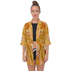 Twirl Open Front Chiffon Kimono by stephenlinhart