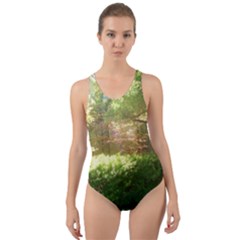 Highland Park 19 Cut-out Back One Piece Swimsuit by bestdesignintheworld