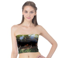 Highland Park 10 Tube Top by bestdesignintheworld