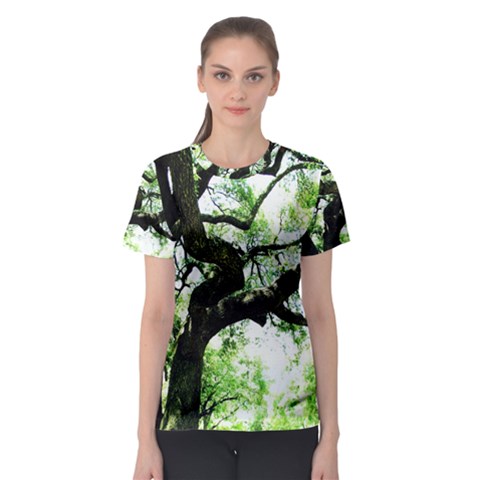 Lake Park 6 Women s Sport Mesh Tee by bestdesignintheworld