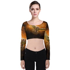 Art Creative Graphic Arts Owl Velvet Crop Top by Sapixe