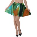 Ceramics Of Ancient Land 2 Velvet Skater Skirt View1