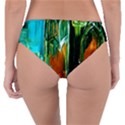 Ceramics Of Ancient Land 2 Reversible Classic Bikini Bottoms View4