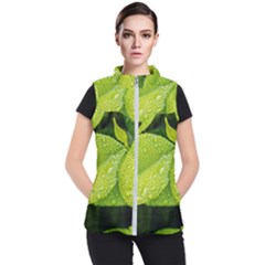 Leaf Green Foliage Green Leaves Women s Puffer Vest by Simbadda