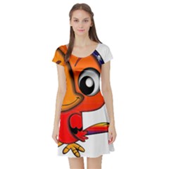 Bird Cartoon Character Parrot Short Sleeve Skater Dress by Simbadda