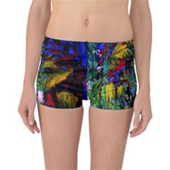 Night At The Foot Of Fudziama 1 Reversible Boyleg Bikini Bottoms by bestdesignintheworld