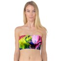 Global Warming 6 Bandeau Top View1