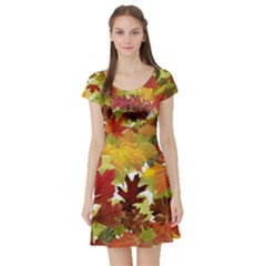 Autumn Fall Leaves Short Sleeve Skater Dress by LoolyElzayat