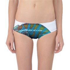 Reptile Lizard Animal Isolated Classic Bikini Bottoms by Sapixe