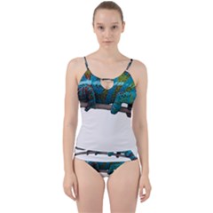 Reptile Lizard Animal Isolated Cut Out Top Tankini Set by Sapixe