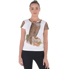 Bird Owl Animal Vintage Isolated Short Sleeve Sports Top  by Sapixe