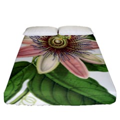 Passion Flower Flower Plant Blossom Fitted Sheet (queen Size) by Sapixe