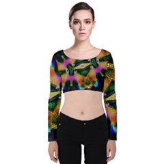 Butterfly Color Pop Art Velvet Crop Top by Sapixe