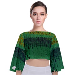 Green Fabric Textile Macro Detail Tie Back Butterfly Sleeve Chiffon Top by Sapixe