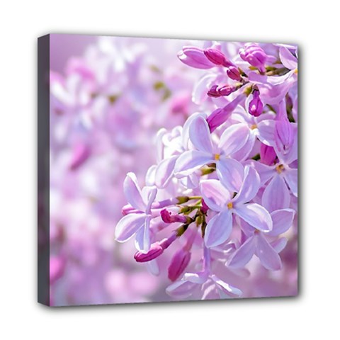 Pink Lilac Flowers Mini Canvas 8  X 8  by FunnyCow