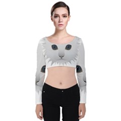 Cat Animal Pet Kitty Cats Kitten Velvet Crop Top by Sapixe