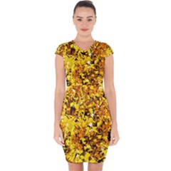 Birch Tree Yellow Leaves Capsleeve Drawstring Dress  by FunnyCow