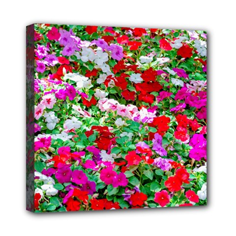 Colorful Petunia Flowers Mini Canvas 8  X 8  by FunnyCow