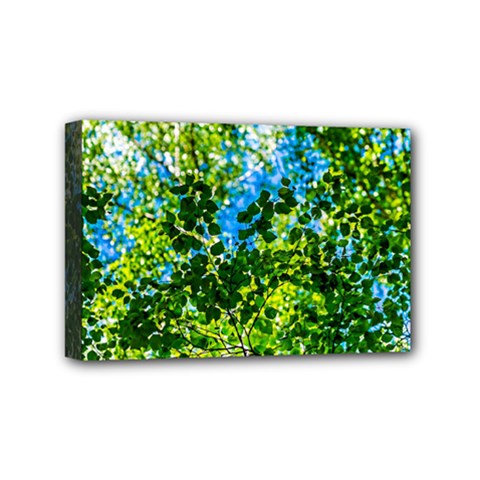 Forest   Strain Towards The Light Mini Canvas 6  X 4  by FunnyCow