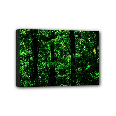 Emerald Forest Mini Canvas 6  X 4  by FunnyCow