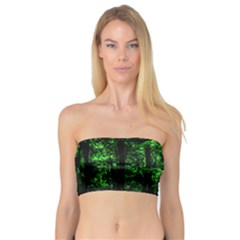 Emerald Forest Bandeau Top by FunnyCow