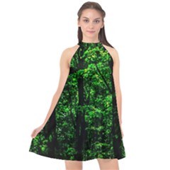 Emerald Forest Halter Neckline Chiffon Dress  by FunnyCow