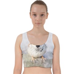 Do Not Mess With Sparrows Velvet Racer Back Crop Top by FunnyCow