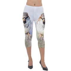 Do Not Mess With Sparrows Lightweight Velour Capri Leggings  by FunnyCow