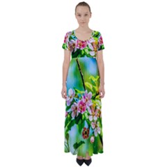 Crab Apple Flowers High Waist Short Sleeve Maxi Dress by FunnyCow