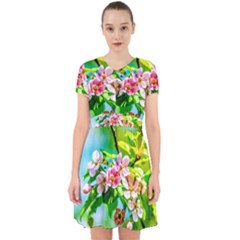 Crab Apple Flowers Adorable In Chiffon Dress by FunnyCow