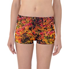 Orange, Yellow Cotoneaster Leaves In Autumn Boyleg Bikini Bottoms by FunnyCow