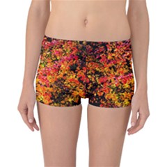 Orange, Yellow Cotoneaster Leaves In Autumn Reversible Boyleg Bikini Bottoms by FunnyCow