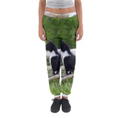 Farm Cat Women s Jogger Sweatpants by IIPhotographyAndDesigns