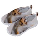 Curious Squirrel Velcro Strap Shoes View2