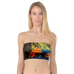 I Wonder 3 Bandeau Top by bestdesignintheworld