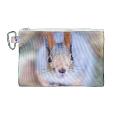 Squirrel Looks At You Canvas Cosmetic Bag (large) by FunnyCow