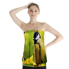 Tomtit Bird Dressed To The Season Strapless Top by FunnyCow