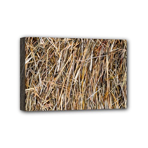 Dry Hay Texture Mini Canvas 6  X 4  by FunnyCow