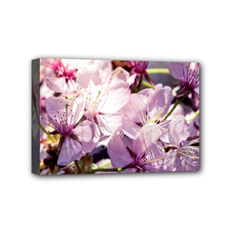 Sakura In The Shade Mini Canvas 6  X 4  by FunnyCow