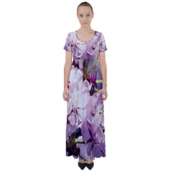 Sakura In The Shade High Waist Short Sleeve Maxi Dress by FunnyCow