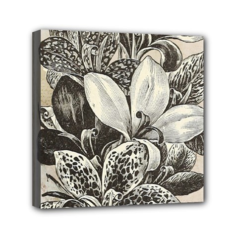 Flowers 1776382 1280 Mini Canvas 6  X 6  (stretched) by vintage2030