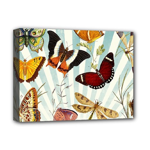 Butterfly 1064147 960 720 Deluxe Canvas 16  X 12  (stretched)  by vintage2030