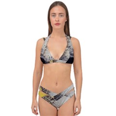 Owl 1462736 1920 Double Strap Halter Bikini Set by vintage2030
