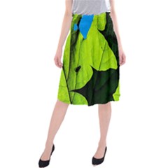 Window Of Opportunity Midi Beach Skirt by FunnyCow