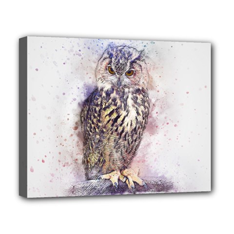 Bird 2552769 1920 Deluxe Canvas 20  X 16  (stretched) by vintage2030