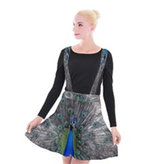 Peacock Bird Animals Pen Plumage Suspender Skater Skirt by Sapixe