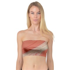 Clay And Water Bandeau Top by WILLBIRDWELL