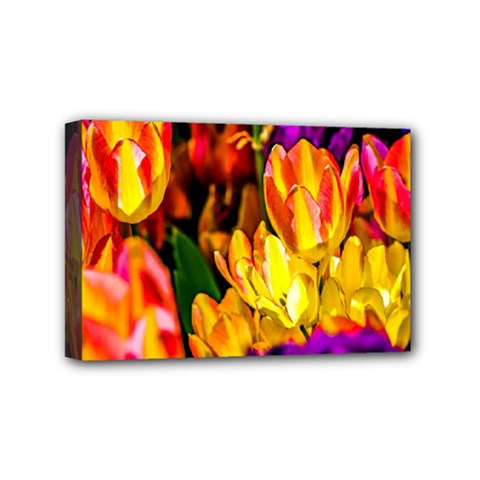 Fancy Tulip Flowers In Spring Mini Canvas 6  X 4  (stretched) by FunnyCow