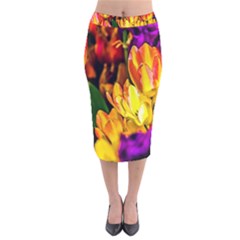 Fancy Tulip Flowers In Spring Velvet Midi Pencil Skirt by FunnyCow